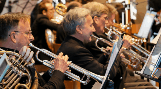 Our Musicians