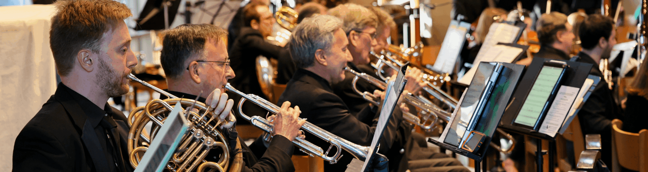Atlanta Metropolitan Symphony